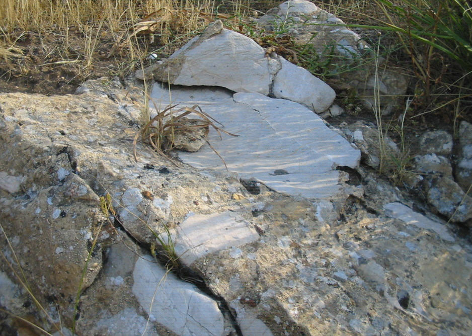 Faglia